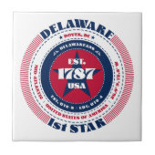 レッド、ホワイト、ブルーのデラウェアのセラミックタイル タイル (正面)
