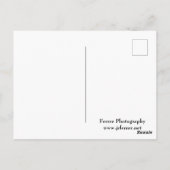 レッド ロックスを囲む岩石と山脈 ポストカード (裏面)