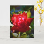 レッド・ローズ、カード カード (黄色い花)
