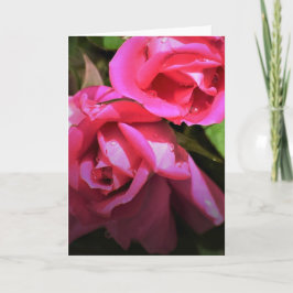 レッド・ローズ、カード カード