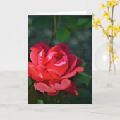 レッド・ローズ、カード カード (黄色い花)