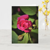 レッド・ローズ、カード カード (黄色い花)