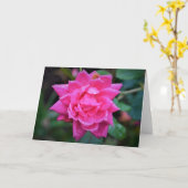 レッド・ローズ、カード カード (黄色い花)