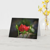 レッド・ローズ、カード カード (黄色い花)