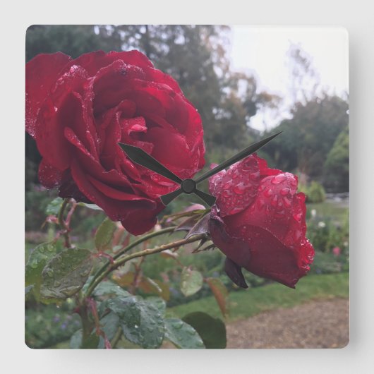 レッド·ローズ·ペア スクエア壁時計 (正面)