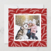 レッド |松の枝クリスマスフォトスクエア シーズンカード (正面)