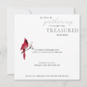 レッド（鳥）ショウジョウコウカンチョウお祝いオブライフ 招待状 (裏面)