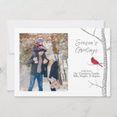 レッド（鳥）ショウジョウコウカンチョウウッドランド冬数々のの木1枚 シーズンカード (正面)