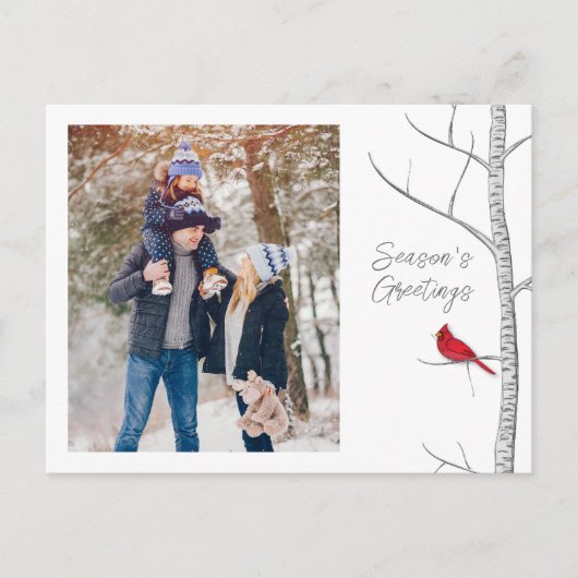 レッド(鳥)ショウジョウコウカンチョウウッドランド冬数々のの木1枚 シーズンポストカード (正面)