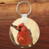レッド（鳥）ショウジョウコウカンチョウキーチェーン キーホルダー (正面)