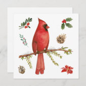 レッド(鳥)ショウジョウコウカンチョウクリスマス自然イラストレーション シーズンカード (正面/裏面)