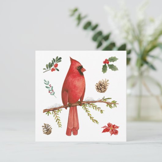 レッド(鳥)ショウジョウコウカンチョウクリスマス自然イラストレーション シーズンカード (スタンド正面)