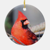 レッド（鳥）ショウジョウコウカンチョウクレストセラミックオーナメント セラミックオーナメント (裏面)