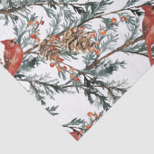 レッド（鳥）ショウジョウコウカンチョウジュニパーズブランズベリーティッシュペーパー 薄葉紙 (詳細)