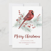 レッド(鳥)ショウジョウコウカンチョウスノウィーパインブランチクリスマス シーズンカード (正面)