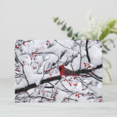 レッド(鳥)ショウジョウコウカンチョウスノウツリー写真クリスマスフラット シーズンカード (スタンド正面)