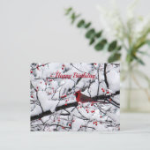 レッド(鳥)ショウジョウコウカンチョウスノーツリーフォト誕生日 ポストカード (スタンド正面)