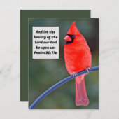 レッド（鳥）ショウジョウコウカンチョウノートカードサンキューバレンタインバード ノートカード (正面/裏面)