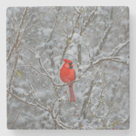 レッド（鳥）ショウジョウコウカンチョウバードスノーコースター ストーンコースター