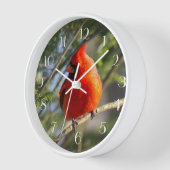 レッド(鳥)ショウジョウコウカンチョウパインズ 壁時計 (傾斜)