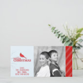 レッド（鳥）ショウジョウコウカンチョウフォトホリデーカード シーズンカード (スタンド正面)