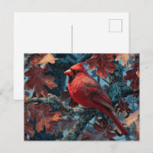レッド（鳥）ショウジョウコウカンチョウペルチオンブランチ ポストカード (正面/裏面)
