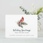 レッド（鳥）ショウジョウコウカンチョウホリデーグリーティングスfromニューホーム 案内状 (スタンド正面)