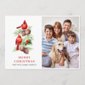 レッド（鳥）ショウジョウコウカンチョウホリーベリークリスマスグリーティングフォト シーズンカード (正面)