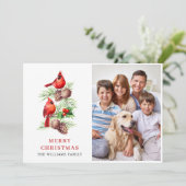 レッド（鳥）ショウジョウコウカンチョウホリーベリークリスマスグリーティングフォト シーズンカード (スタンド正面)