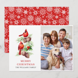 レッド（鳥）ショウジョウコウカンチョウホリーベリークリスマスグリーティングフォト シーズンカード
