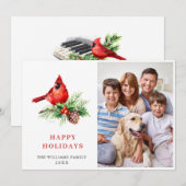 レッド（鳥）ショウジョウコウカンチョウホリーベリークリスマスグリーティングフォト シーズンカード (正面/裏面)