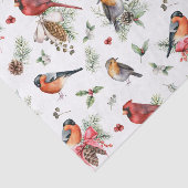 レッド（鳥）ショウジョウコウカンチョウロビンピネコーンウォーターカラークリスマス 薄葉紙 (詳細)