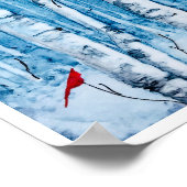 レッド（鳥）ショウジョウコウカンチョウ樺の木ツリ素朴ー ポスター (角)