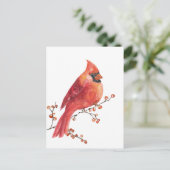 レッド（鳥）ショウジョウコウカンチョウ食べの冬のイレックスベリー ポストカード (スタンド正面)