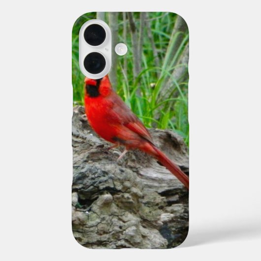 レッド(鳥)ショウジョウコウカンチョウ(オハイオ) iPhoneケース Case-Mate iPhoneケース (裏面)