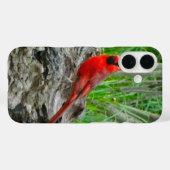 レッド(鳥)ショウジョウコウカンチョウ(オハイオ) iPhoneケース Case-Mate iPhoneケース (裏面 (横))