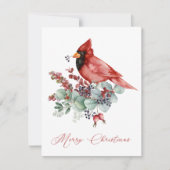 レッド（鳥）ショウジョウコウカンチョウ、ユーカリ、グリーンクリスマス (正面)