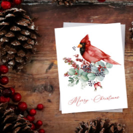 レッド（鳥）ショウジョウコウカンチョウ、ユーカリ、グリーンクリスマス