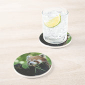 レッパンダ002 コースター (側面)