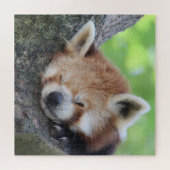 レッパンダ2020-03-02 ジグソーパズル (横)