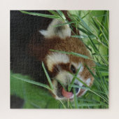 レッパンダ2020-03-03 ジグソーパズル (横)