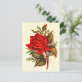 レッ素晴らしドロビクトリアンーズブーケ ポストカード (スタンド正面)