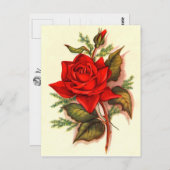レッ素晴らしドロビクトリアンーズブーケ ポストカード (正面/裏面)