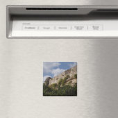 レティムノフォルテッツァ マグネット (インサイチュ (食洗機))