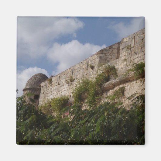 レティムノフォルテッツァ マグネット (正面)