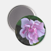 レディかわいらしー092 マグネット (正面/裏面)