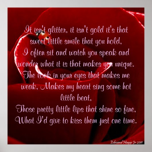 レディバグと詩のバラ ポスター (正面)