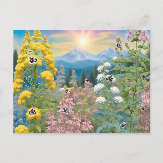 レディバグの庭への訪問 ポストカード (正面)