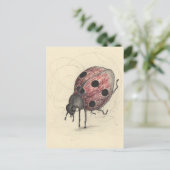 レディバグは踊れない シーズンポストカード (スタンド正面)