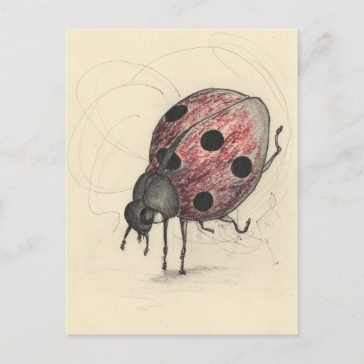 レディバグは踊れない シーズンポストカード (正面)